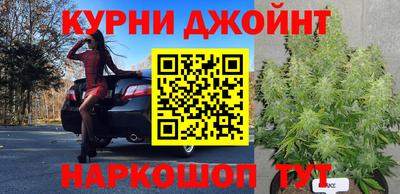 гашик Нальчик