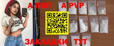 гашик Нальчик