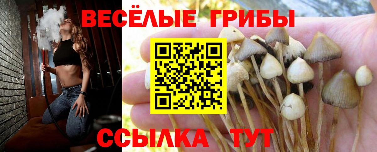 Галлюциногенные грибы мицелий Чернушка