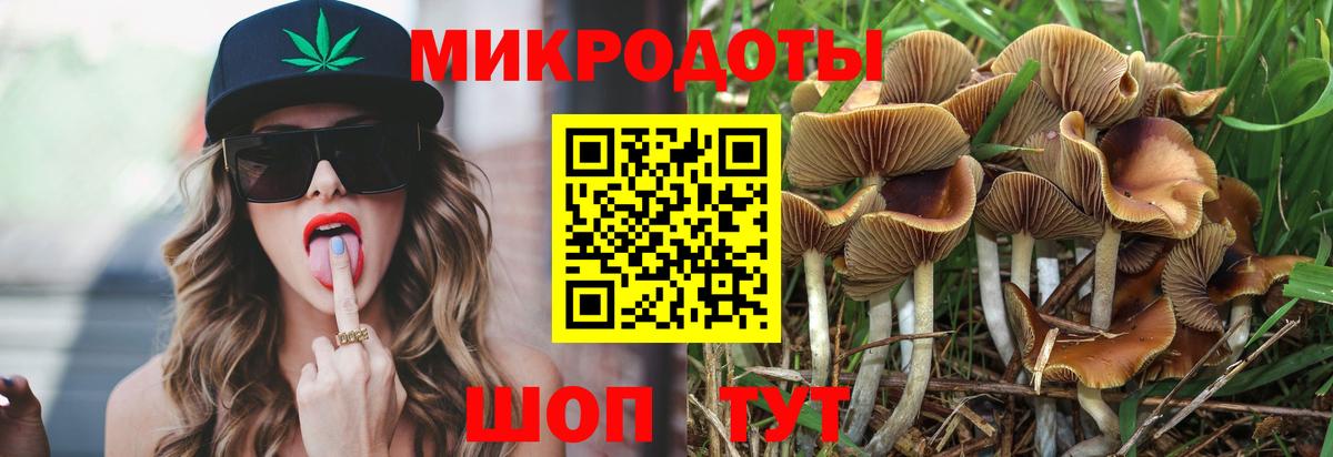Чернушка  Псилоцибиновые грибы MAGIC MUSHROOMS  Псилоцибиновые грибы прущие грибы  Вход с VPN 